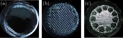 Figure from Ferrofluids under oscillatory magnetic fields
